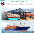 Чувствительных товаров морские перевозки экспедитор из Китая в мире